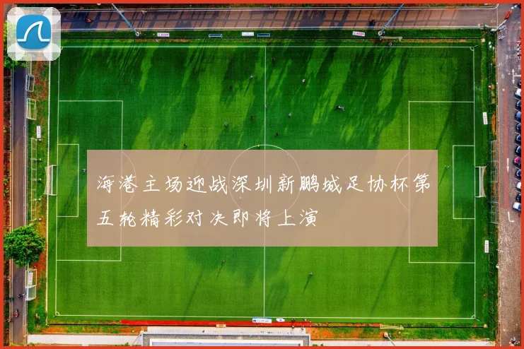 海港主场迎战深圳新鹏城足协杯第五轮精彩对决即将上演
