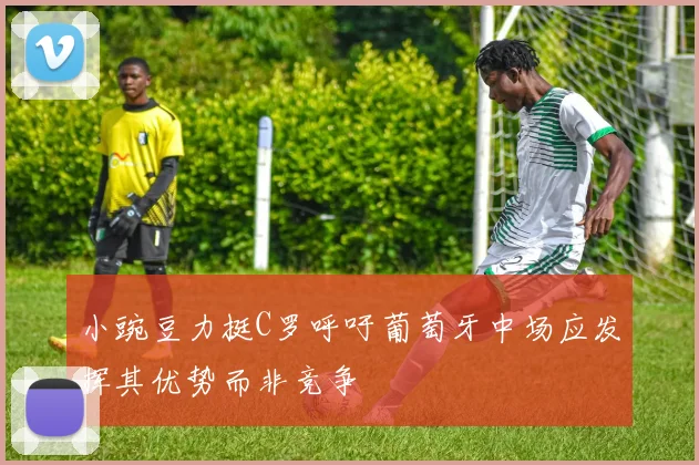 小豌豆力挺C罗呼吁葡萄牙中场应发挥其优势而非竞争