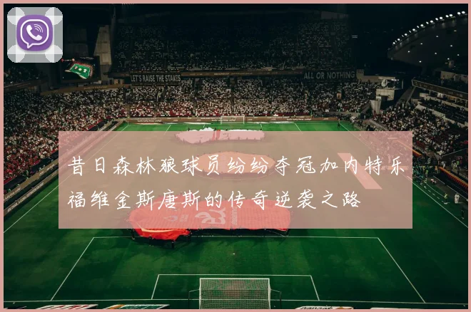 昔日森林狼球员纷纷夺冠加内特乐福维金斯唐斯的传奇逆袭之路