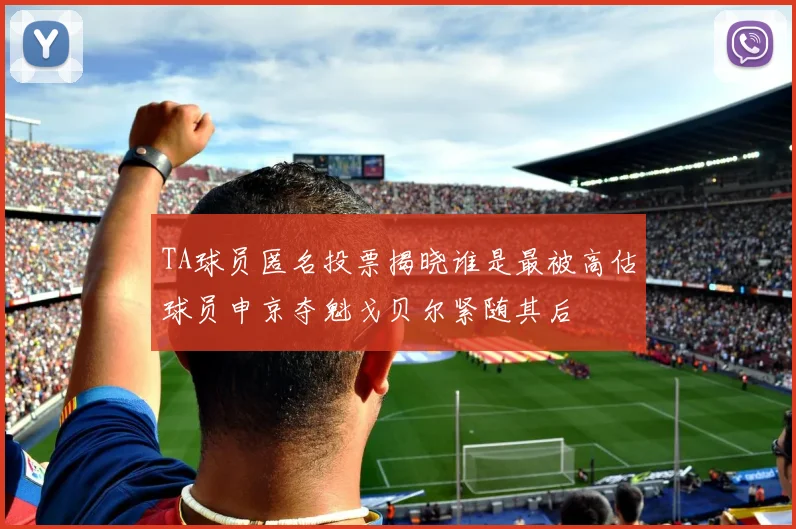 TA球员匿名投票揭晓谁是最被高估球员申京夺魁戈贝尔紧随其后